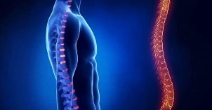 Osteochondrosis of the vertebral column